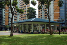 Blk 175 Lompang Road (Bukit Panjang), HDB 5 Rooms #210342